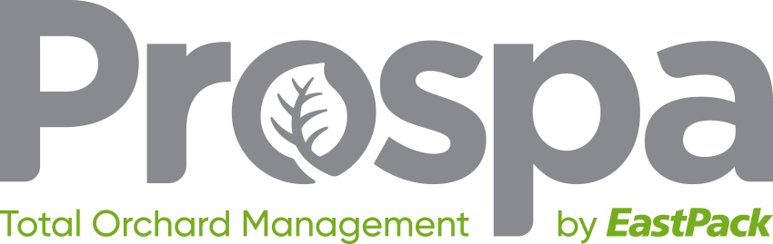 Prospa logo